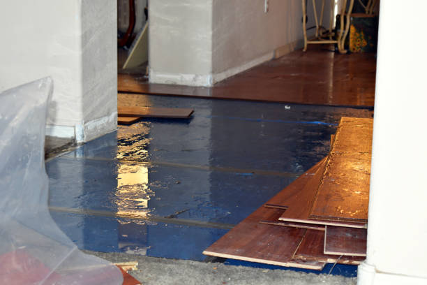 Professional Flood Cleanup technician working in Weidman, MI